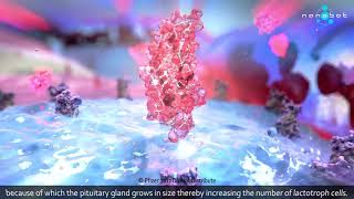 Prolactinemia  Dostinex  MoA  3D medical animation [upl. by Nassir275]