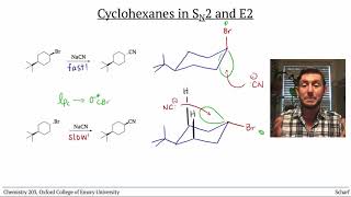 Cyclohexanes 4 SN2 and E2 on Halogenated Cyclohexanes [upl. by Martel]