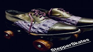 StepperSkates 11 revised [upl. by Siravart]