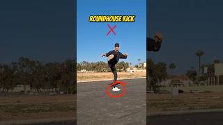 Roundhouse kick Tutorial [upl. by Azerila]