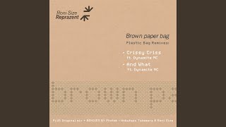 Brown Paper Bag Nobukazu Takemura Remix [upl. by Eilis]