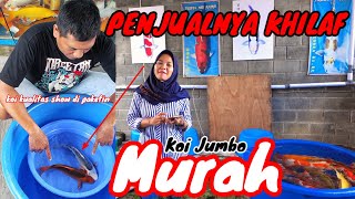 Penjualnya Khilaf ni‼️Koi Jumbo Murah🔴Ada bahan untuk Show di Review juga harganya [upl. by Nobell]