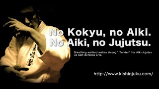 日本古流柔術 氣慎塾 quot合気技法四主術理quot Kishinjuku AikiJujutsu Four Principles [upl. by Ylatan]