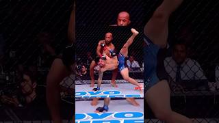 Mighty Mouse 🐁 INFAMOUS FLYING ARMBAR 💥 [upl. by Minni]