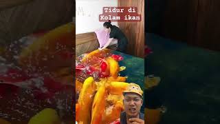 Tidur dikolam ikan shortvideo reaction funny [upl. by Balthasar346]