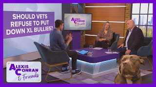 Should vets refuse to put down XL Bullies  Alexis Conran amp Friends [upl. by Dulcy]