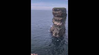 Downpatrick Head Mayo Wild atlantic way shorts shortsvideos wild ireland Mayo [upl. by Aihset]