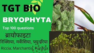 ब्रायोफाइटा Bryophyta RicciaMarchantiaFunaria life cycleexam oriented questions part 1 [upl. by Yedrahs]