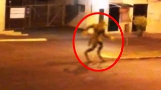 5 Mythical Creatures Caught On Camera amp Spotted In Real Life [upl. by Maynard712]