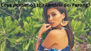 Cosa pensano i thailandesi dei Farang [upl. by Ozmo935]