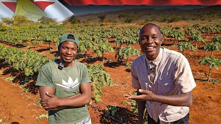 From Kenya to Becoming One of The BIGGEST FARMERS in Zimbabwe [upl. by Sommers]