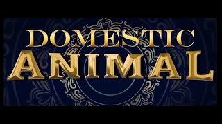 ANIMAL trailer spoofTVMC [upl. by Nodnol708]