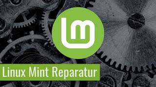 Linux Mint fährt nicht mehr hoch  ist kaputt So reparierst Du es Anfänger [upl. by Giah227]