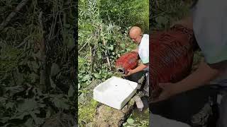 Bamboo cage trap ffish catching process Good tools and machinery can increase work efficiency [upl. by Aicnorev]