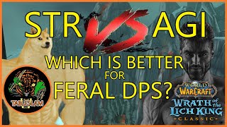 STR or AGI for Feral DPS Why it DOESNT MATTER  Wrath Classic [upl. by Quillon]