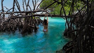 Visiting la Parguera Puerto Rico 4k [upl. by Neelhsa]