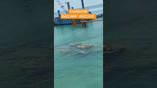 PAMBAN railway bridge RAMESWARAM trainjourney rameshwaram bridges [upl. by Ettenyl]