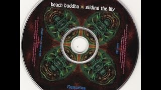 BEACH BUDDHA  A million miles an hour [upl. by Attelahs]