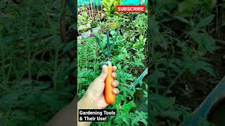 Gardening Tools amp their Use  How to use hand Cultivator shorts gardening tools diy [upl. by Nivanod934]