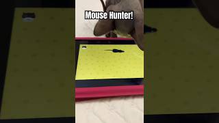 Blu’s Digital Mouse Hunt 🐾 Sphynx Kitten vs iPad SphynxKitten kittenadventures cat funnycats [upl. by Jehius605]