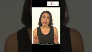 4 Essential Steps to Heal Diastasis Recti with the Tupler Technique® [upl. by Deva]