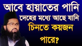 আবেহায়াতের পানি দেহের মধ্যে আছে যানি চিনতে পারে abe hayater pani deher mpdde ace jani [upl. by Dag429]