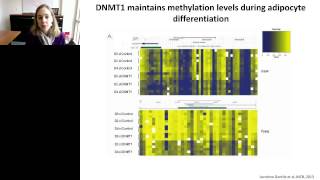 Kathryn Wellen  Metabolic reprogramming links to the epigenome [upl. by Naasah]