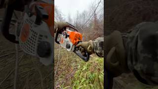 STIHL  MS 180 запуск і робота [upl. by Neeka]