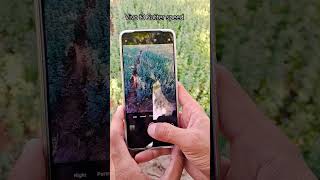 vivo t3 camera Sutter speed test 📷 music beats remix trending vivo shorts short youtube [upl. by Annek176]