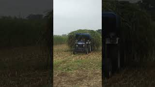 Dabda kithe aa trending viraltractor viral tractor rnait [upl. by Nnaira]