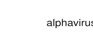 How to pronounce alphavirus [upl. by Ilatan]