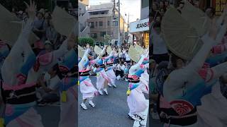 Tokyo Koenji Awa Odori attracts about 1 million spectators annually [upl. by Geoffrey872]