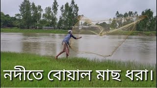 নদীতে বোয়াল মাছ ধরা । [upl. by Aliwt767]