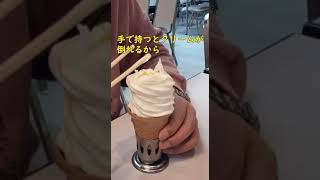 箸で食べるソフトクリームが岩手県にある shorts [upl. by Docia]