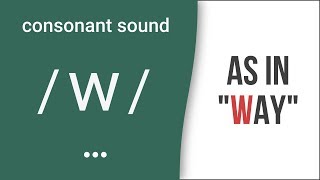 Consonant Sound  w  as in quotwayquot – American English Pronunciation [upl. by Nyrroc]