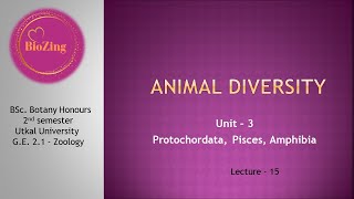 L15  GE Zoology Animal diversity  Bsc Botany Honours  1st  2nd sem [upl. by Smada]