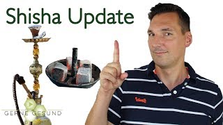 Shisha Update Shiazo Steine amp Alternativen für Kohle  Gerne Gesund [upl. by Akemej405]