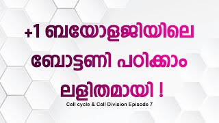 1 botany class Cell Cycle amp Cell Division episode 7 [upl. by Enilrem]