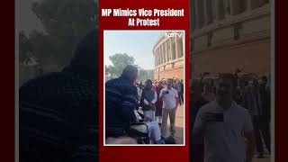 Trinamool MP Mimics Vice President As Rahul Gandhi Takes Video [upl. by Haiasi]