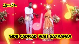 SAKARIYE KOBCIYE amp HAMDI BILAN  SIDII CADRAN WALI GAYAANAA  OFFICIAL MUSIC VIDEO 2022 [upl. by Asilrahc]