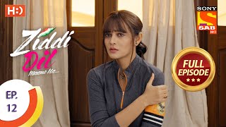 Teri Meri Ik Jindri Lyrical Video  Sardool Sikander  Punjabi Songs 2019  Finetouch Music [upl. by Esiuole459]