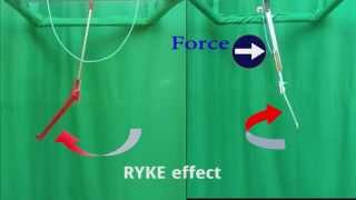 RYKE effect stretched [upl. by Anilemrac]