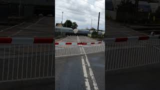 What are the odds at Helpston level crossing [upl. by Nadruoj196]