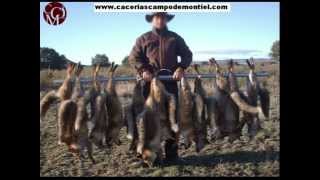 Chasse perdrix rouge sauvage Espagne [upl. by Cenac]