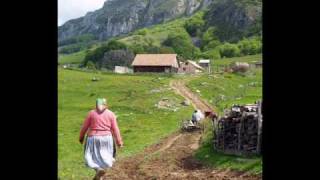 Mircea Baniciu  Vara la tara  Tristeti provinciale 1981 [upl. by Fennessy]