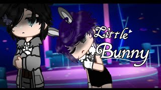 Little bunny🐇GayBLboy loveGCMMGacha club mini movie 15 [upl. by Embry]