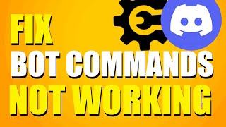 How To Fix Discord Bot Commands Not Working Quick Fix [upl. by Pauwles]