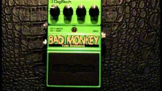 Digitech Bad Monkey [upl. by Hsevahb665]