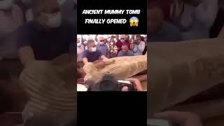 Unsealing a 2500YearOld Mummy Tomb Live AncientEgypt MummyMystery archaeology [upl. by Ingunna]