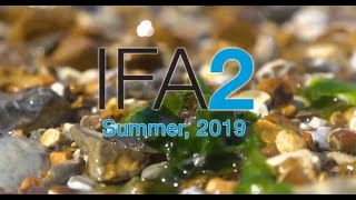 IFA2 Interconnector Construction Summary film Summer 2019 [upl. by Ari656]